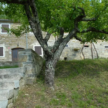 Apartman 