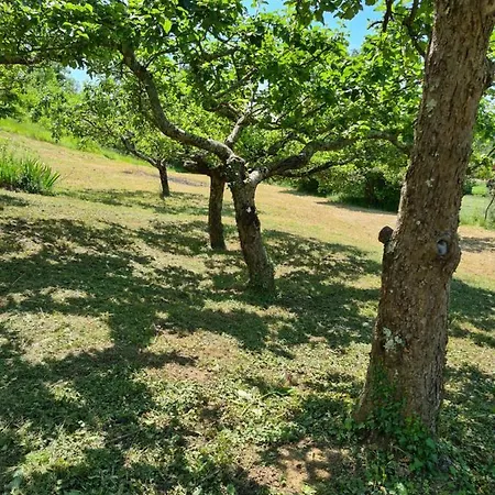 Lägenhet Apartman 
