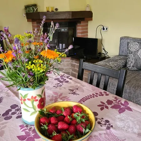 Apartmán Apartman 